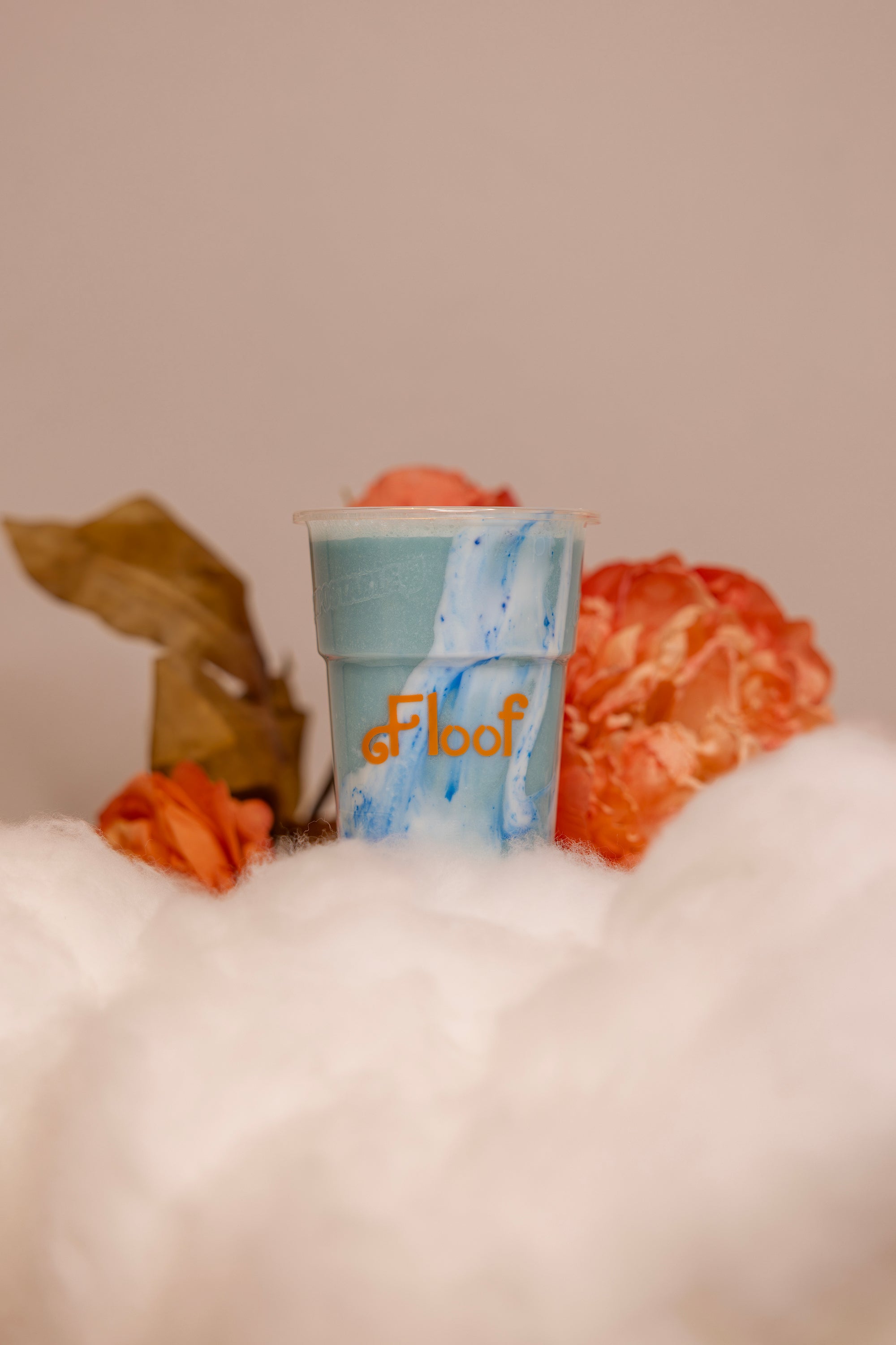 Coconut Cloud